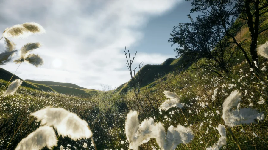 A digital meadow